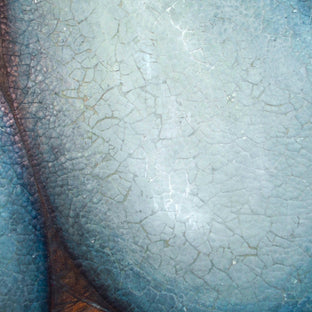We Really Like to Stay in the Nest by Jennifer Ross |   Closeup View of Artwork 