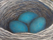 Original art for sale at UGallery.com | Home Is like the Robin's Nest by Jennifer Ross | $600 | oil painting | 14' h x 18' w | thumbnail 4