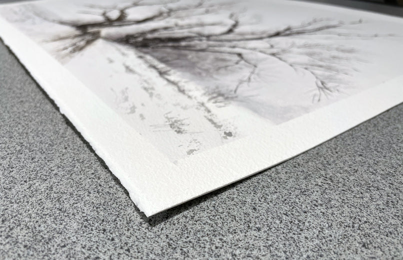 Poplars in Winter by Jill Poyerd |  Side View of Artwork 