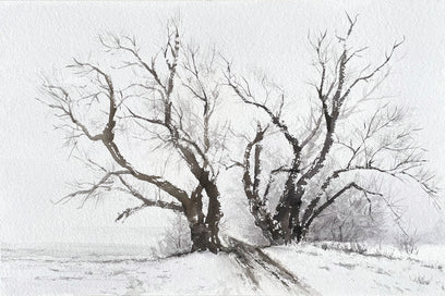 Poplars in Winter by Jill Poyerd | Artwork Main Image