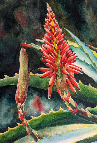Original art for sale at UGallery.com | Blooming Succulents by Jinny Tomozy | $1,475 | watercolor painting | 16' h x 12' w | photo 4