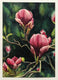 Original art for sale at UGallery.com | Crimson Magnolias by Jinny Tomozy | $1,700 | watercolor painting | 20' h x 14' w | thumbnail 3