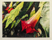 Original art for sale at UGallery.com | Garden Trumpets by Jinny Tomozy | $1,900 | watercolor painting | 18' h x 24' w | thumbnail 3