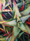 Original art for sale at UGallery.com | Succulent Stars by Jinny Tomozy | $1,475 | watercolor painting | 16' h x 12' w | thumbnail 4