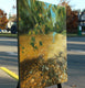 Original art for sale at UGallery.com | Morning Glory by Jo Galang | $900 | oil painting | 20' h x 16' w | thumbnail 2
