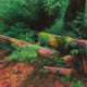 Original art for sale at UGallery.com | Nature in Harmony by Jo Galang | $975 | oil painting | 20' h x 20' w | thumbnail 1