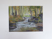 Original art for sale at UGallery.com | My Place in the Woods by Joanie Ford | $275 | pastel artwork | 12' h x 16' w | thumbnail 3