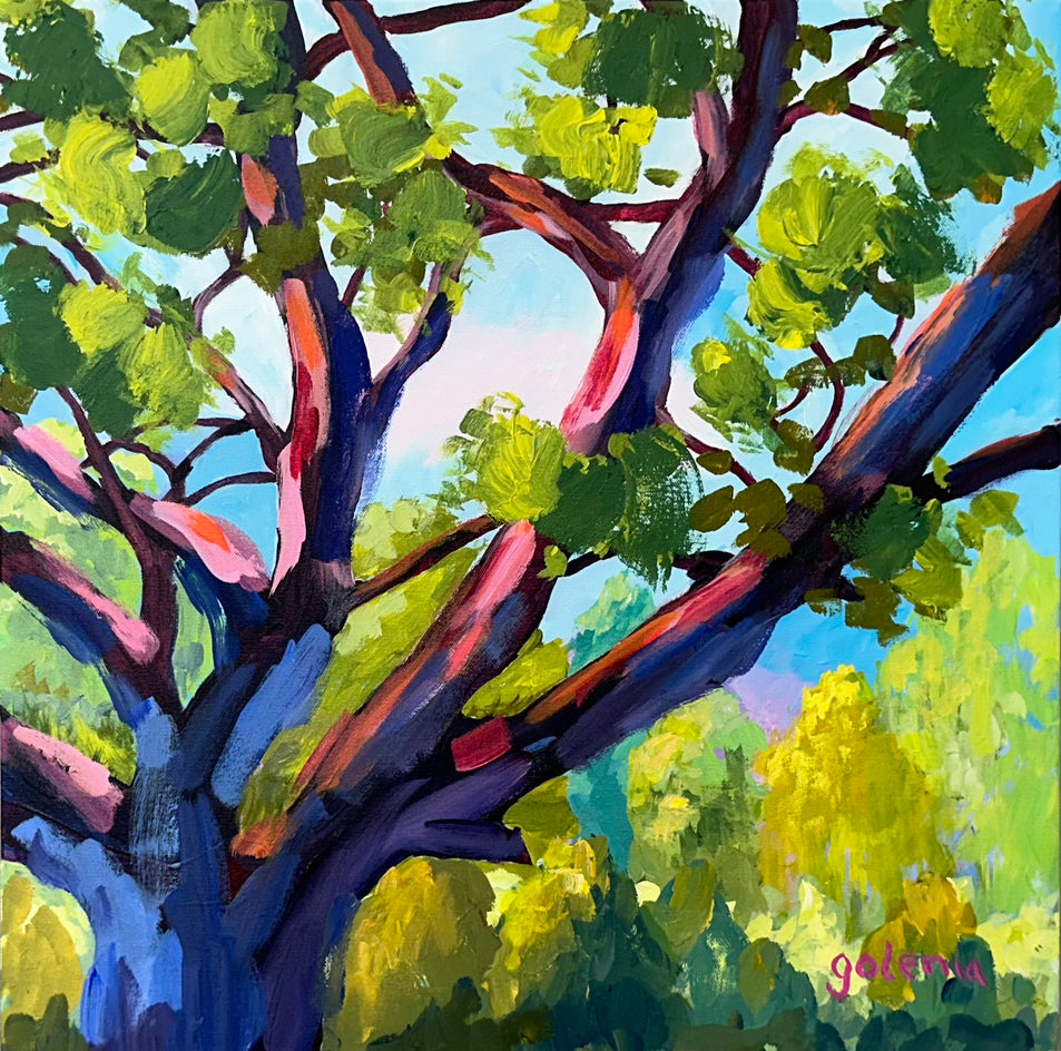 Aerial by JoAnn Golenia |  Artwork Main Image 