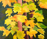 Original art for sale at UGallery.com | Star Players by JoAnn Golenia | $800 | acrylic painting | 20' h x 24' w | thumbnail 1