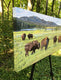 Original art for sale at UGallery.com | Postcard from Yellowstone by John Jaster | $1,200 | acrylic painting | 18' h x 36' w | thumbnail 2