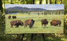 Original art for sale at UGallery.com | Postcard from Yellowstone by John Jaster | $1,200 | acrylic painting | 18' h x 36' w | thumbnail 3