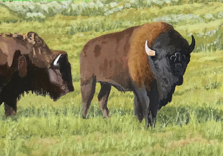 Postcard from Yellowstone by John Jaster |   Closeup View of Artwork 