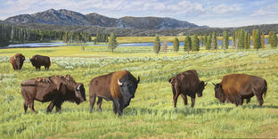 Original art for sale at UGallery.com | Postcard from Yellowstone by John Jaster | $1,200 | acrylic painting | 18' h x 36' w | photo 1