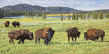 Original art for sale at UGallery.com | Postcard from Yellowstone by John Jaster | $1,200 | acrylic painting | 18' h x 36' w | thumbnail 1