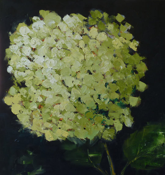Green Hydrangea by Judy Mackey - oil painting | UGallery