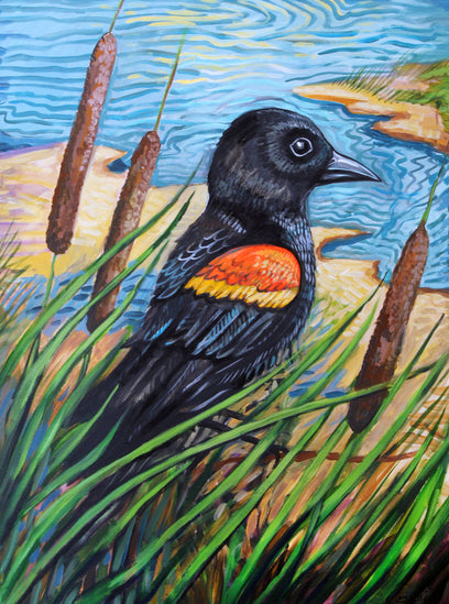 Red-Winged Blackbird by Kira Yustak | Artwork Main Image