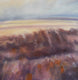 Original art for sale at UGallery.com | In the Fields by Kristen Brown | $425 | oil painting | 8' h x 8' w | thumbnail 4