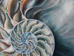 Original art for sale at UGallery.com | Nautilus Interior by Kristine Kainer | $3,875 | oil painting | 30' h x 40' w | thumbnail 1
