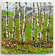 Original art for sale at UGallery.com | Summer Birch by Lisa Elley | $425 | oil painting | 12' h x 12' w | thumbnail 4