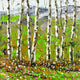 Original art for sale at UGallery.com | Summer Birch by Lisa Elley | $425 | oil painting | 12' h x 12' w | thumbnail 1