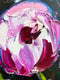 Original art for sale at UGallery.com | Summer Peonies by Lisa Elley | $375 | oil painting | 9' h x 12' w | thumbnail 4