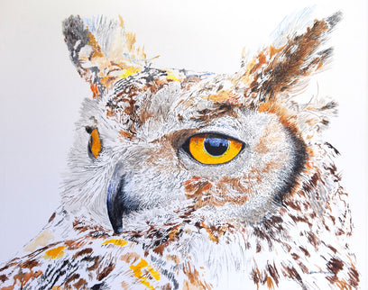 Max the Great Horned Owl Hearing Hooting by Emil Morhardt | Artwork Main Image