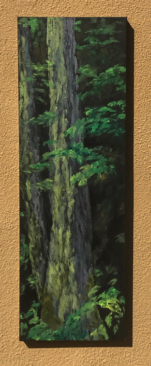 Sequoia by Mandy Main |  Context View of Artwork 
