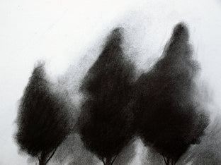 Original art for sale at UGallery.com | Trees by Drew McSherry | $450 | charcoal drawing | 16.37' h x 13.43' w | photo 4