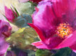 Original art for sale at UGallery.com | Rose Amazing by Melissa Gannon | $325 | oil painting | 12' h x 16' w | thumbnail 4
