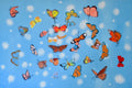 Original art for sale at UGallery.com | Fluffs and Butterflies 3 by Natasha Tayles | $800 | acrylic painting | 24' h x 36' w | thumbnail 1