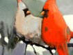 Original art for sale at UGallery.com | Valentine by Mary Pratt | $900 | oil painting | 20' h x 20' w | thumbnail 4