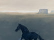 Original art for sale at UGallery.com | Black Horse by Nick Bontorno | $675 | acrylic painting | 16' h x 20' w | thumbnail 4