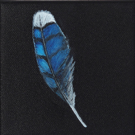 Blue Feathers #4 - Fine Art Photograph