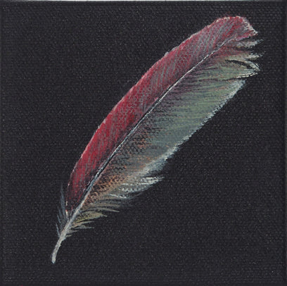 Cardinal Feather by Jennifer Ross | Artwork Main Image