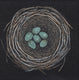 Original art for sale at UGallery.com | Nest, Speckled Eggs by Jennifer Ross | $75 | acrylic painting | 4' h x 4' w | thumbnail 1