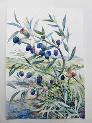 Olive Branch by Catherine McCargar |  Context View of Artwork 