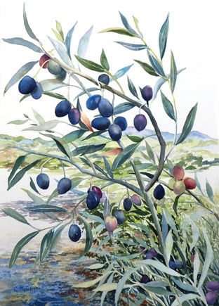 Olive Branch by Catherine McCargar |  Artwork Main Image 