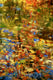 Original art for sale at UGallery.com | Leaves and Reflections by Onelio Marrero | $1,975 | oil painting | 30' h x 24' w | thumbnail 4