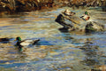 Original art for sale at UGallery.com | Mallard Pairs in Winter by Onelio Marrero | $925 | oil painting | 14' h x 24' w | thumbnail 3