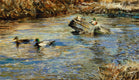Original art for sale at UGallery.com | Mallard Pairs in Winter by Onelio Marrero | $925 | oil painting | 14' h x 24' w | thumbnail 1
