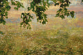 Original art for sale at UGallery.com | Under the Trident Maple by Onelio Marrero | $2,225 | oil painting | 22' h x 38' w | thumbnail 4