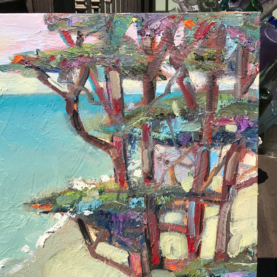 Opal Cliff, Santa Cruz by James Hartman |  Context View of Artwork 