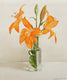 Original art for sale at UGallery.com | Orange Lily by Nicole Lamothe | $600 | oil painting | 14' h x 12' w | thumbnail 1