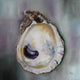 Original art for sale at UGallery.com | Bay Oyster Shell by Kristine Kainer | $1,750 | oil painting | 24' h x 24' w | thumbnail 1