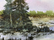 Original art for sale at UGallery.com | Wilderness Mood by Posey Gaines | $800 | watercolor painting | 18' h x 24' w | thumbnail 2