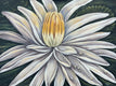 Original art for sale at UGallery.com | White Lotus, Resilience by Pamela Hoke | $2,775 | acrylic painting | 30' h x 40' w | thumbnail 1