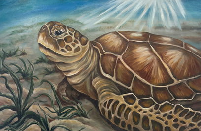 Just Chill, Sea Turtle by Pamela Hoke | Artwork Main Image