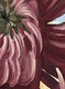 Original art for sale at UGallery.com | Magenta Chrysanthemum by Pamela Hoke | $925 | oil painting | 30' h x 15' w | thumbnail 4
