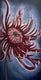 Original art for sale at UGallery.com | Magenta Chrysanthemum by Pamela Hoke | $925 | oil painting | 30' h x 15' w | thumbnail 1