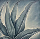 Original art for sale at UGallery.com | Soft Agave by Pamela Hoke | $1,300 | oil painting | 24' h x 24' w | thumbnail 1